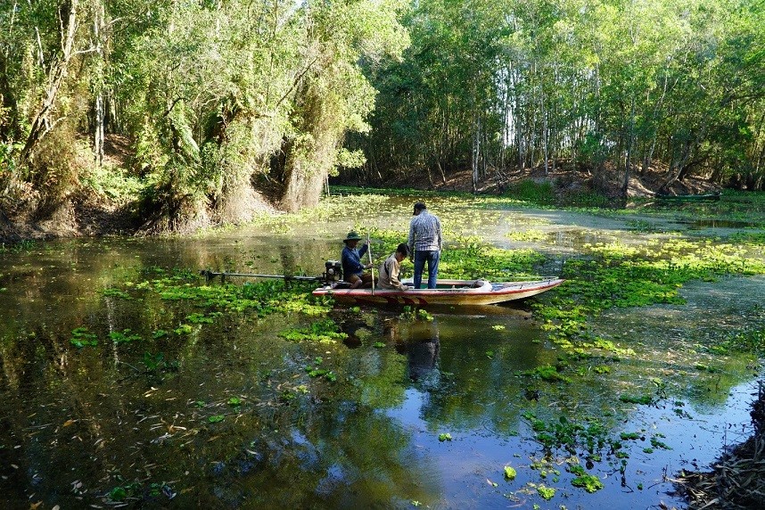 Jointly develop Dong Thap Muoi conservation and ecotourism area