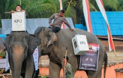 Indonesia huy động bò, voi, thuyền vào chiến dịch tổng tuyển cử