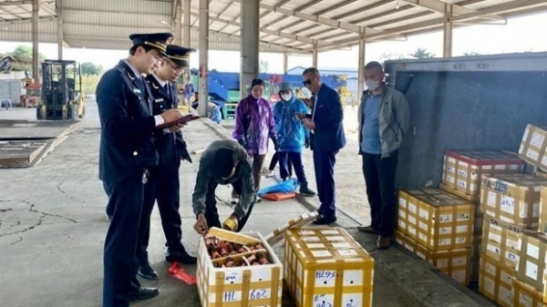 Border gate of Bac Luan 2 Bridge resumes operations after Tet early