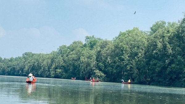 Dong Thap Muoi Ecological Reserve as charming and poetic as in ancient song