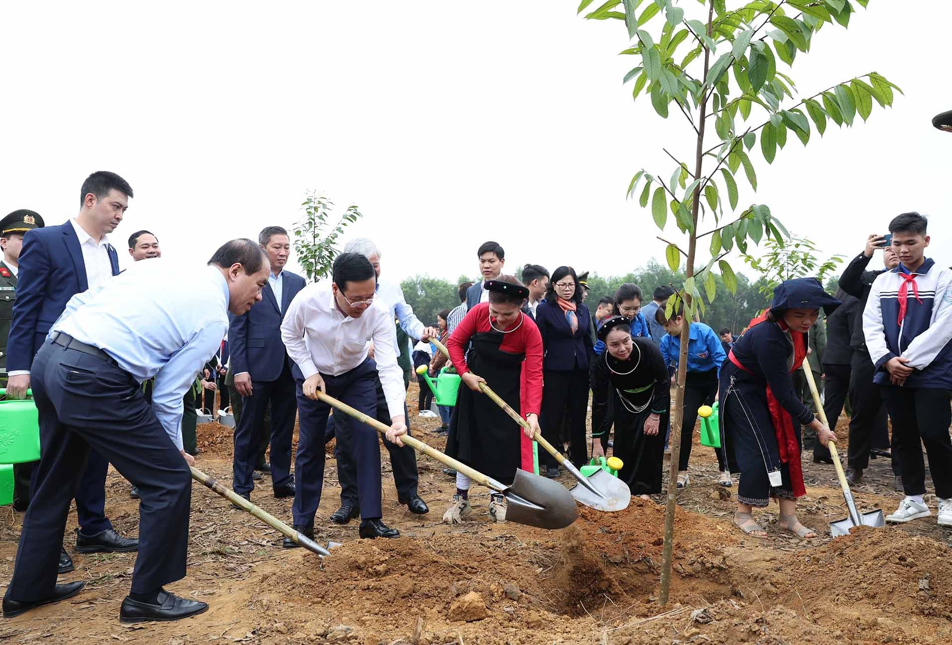 Chủ tịch nước phát động Tết trồng cây ‘Đời đời nhớ ơn Bác Hồ’ Xuân Giáp Thìn 2024 tại Tuyên Quang