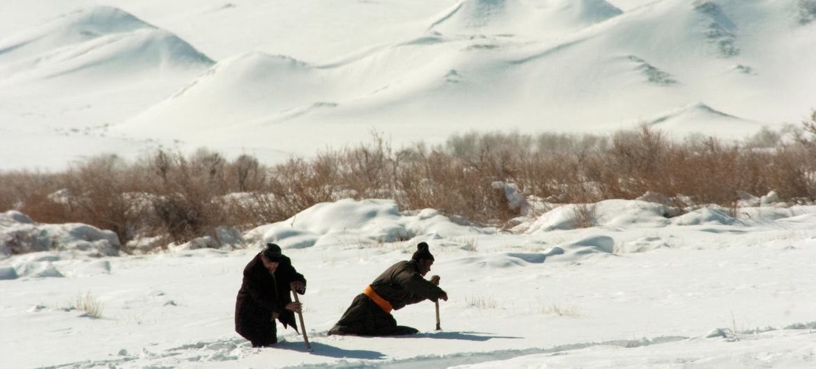 Mông Cổ: Nhiệt độ ấm bất thường, băng tuyết tan nhanh, tăng nguy cơ lũ quét tại Ulan Bator