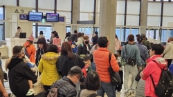 Bỏ rơi 292 du khách ở Phú Quốc, một công ty du lịch bị đình chỉ hoạt động