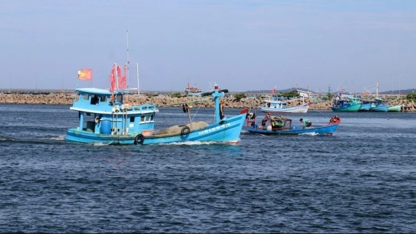 Coastal southern localities take urgent action to fight IUU fishing