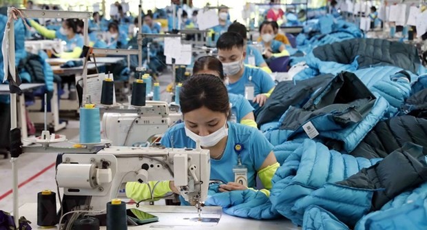 Optimistic signs seen in exports of garment-textile sector,