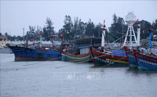 MARD urges examination of fishing vessels without tracking