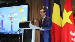 Quan hệ thương mại với Việt Nam trở thành một trong những hợp tác quan trọng nhất của Bỉ tại châu Á
