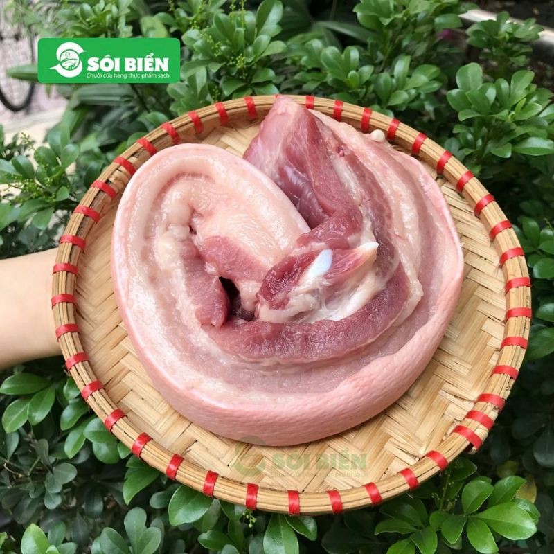 Giá heo hơi hôm nay 26/2: Giá vẫn neo ở mức  54.000 - 58.000 đồng/kg như dự đoán