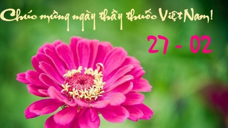 Lời chúc 27/2 - Lời chúc ngày Thầy thuốc Việt Nam 27/2/2024 hay và ý nghĩa nhất