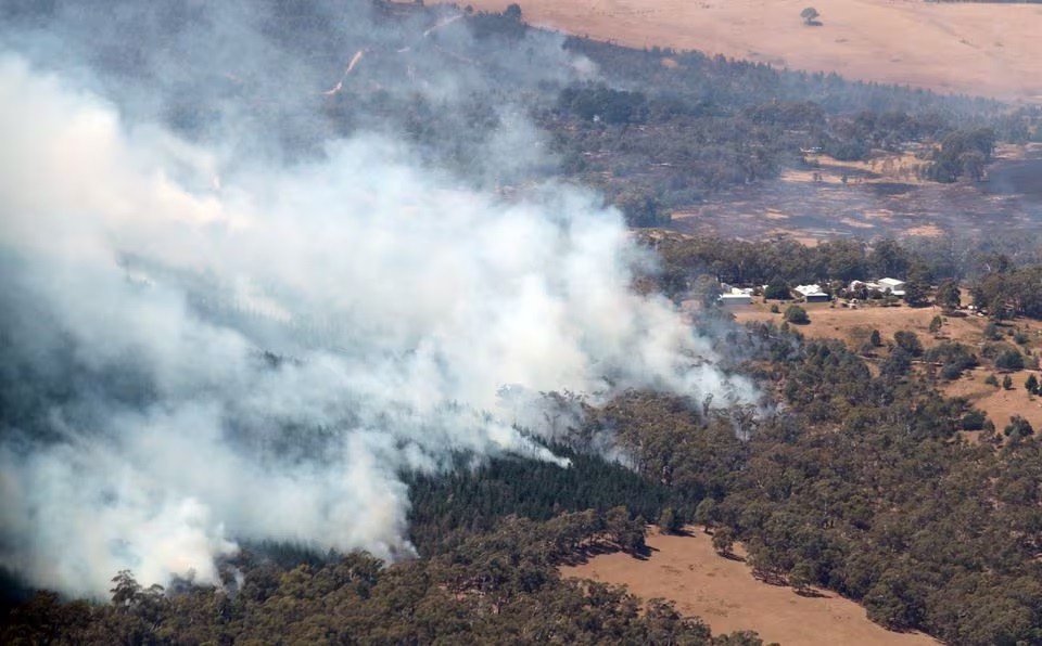 Austalia: Cảnh báo nguy cơ cháy rừng lan rộng khi thời tiết nắng nóng gay gắt trên 45 độ C