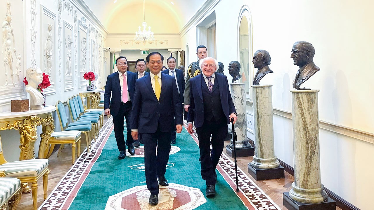 FM Bui Thanh Son meets with Irish President Michael D. Higgins