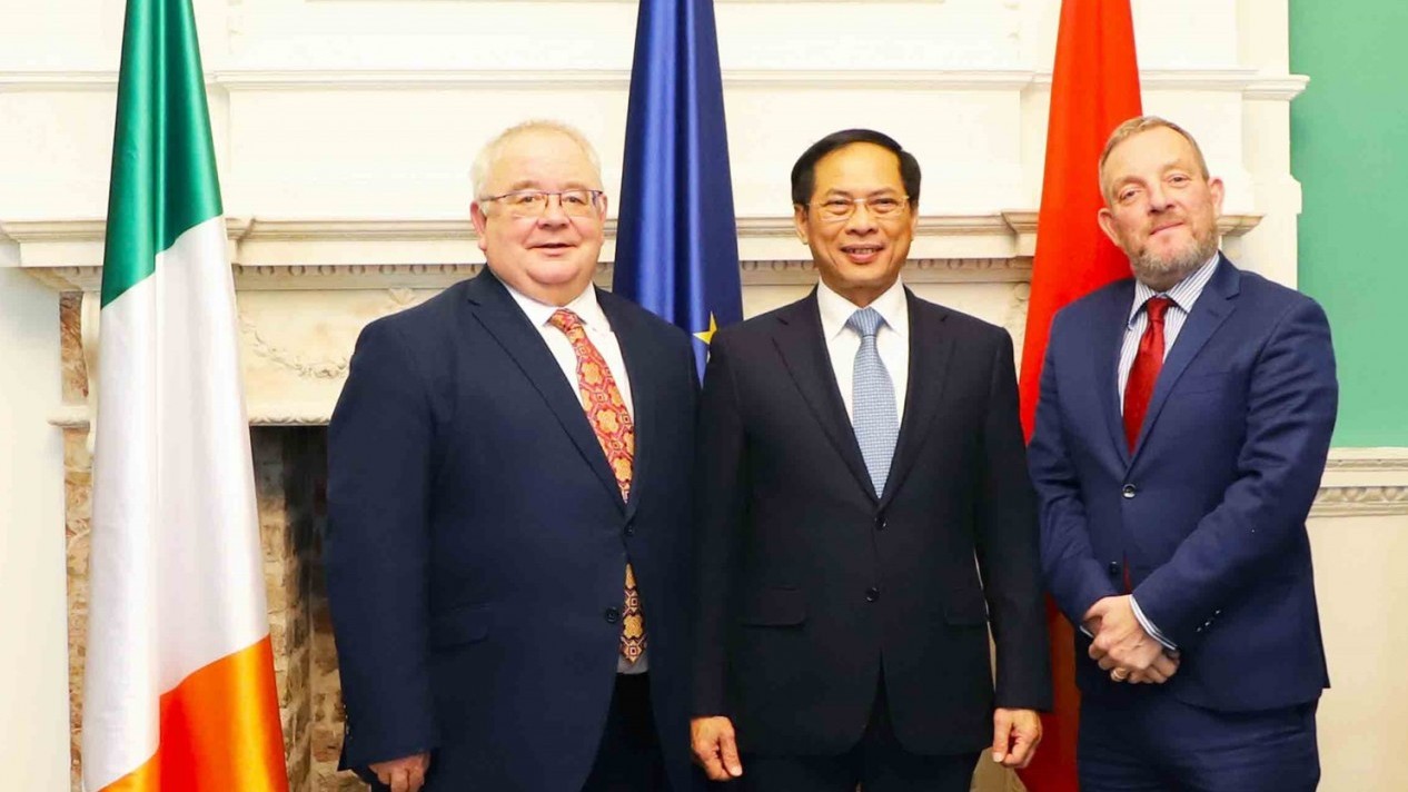 Bộ trưởng Bùi Thanh Sơn gặp Chủ tịch Thượng viện và Chủ tịch Hạ viện Ireland