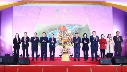 Lễ khởi công xây dựng Cụm công nghiệp Đông Phú Yên - điểm đến thành công cho nhà đầu tư
