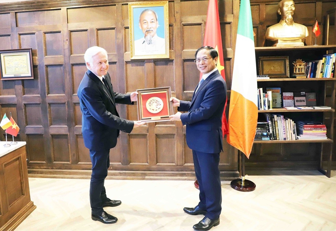 Bộ trưởng Bùi Thanh Sơn tiếp Lãnh sự Danh dự Việt Nam tại Dublin (Ireland)