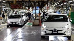 Công ty con của Toyota gặp biến, doanh số ô tô của Nhật Bản giảm gần 20% trong tháng Hai
