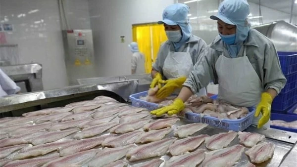 Vietnam becomes second largest supplier of white fish to US