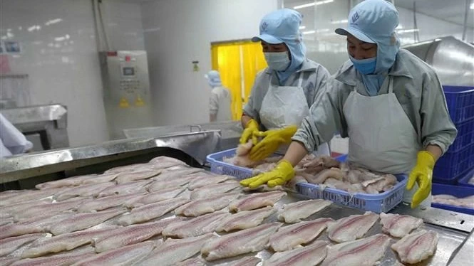 Vietnam becomes second largest supplier of white fish to US