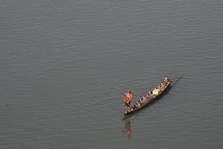 Nhiều loại cá khu vực sông Mekong đối mặt nguy cơ tuyệt chủng