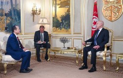 Đại sứ Nguyễn Huy Dũng trình Thư ủy nhiệm lên Tổng thống Tunisia Kais Saied