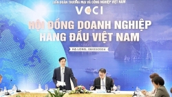8 nhiệm vụ quan trọng của Hội đồng Doanh nghiệp hàng đầu Việt Nam