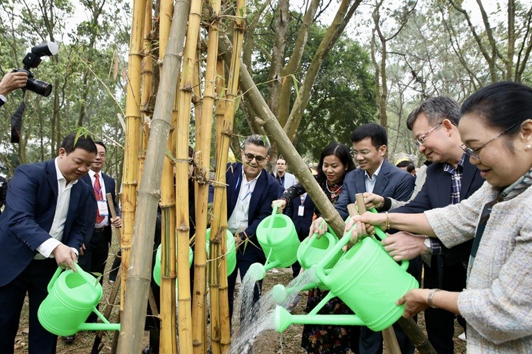 Theo chân bạn bè quốc tế du xuân về Quần thể Di tích Quốc gia đặc biệt Đền Sóc