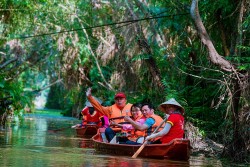 Dong Thap Muoi Ecological Reserve Attraction: Sunlight melts alum