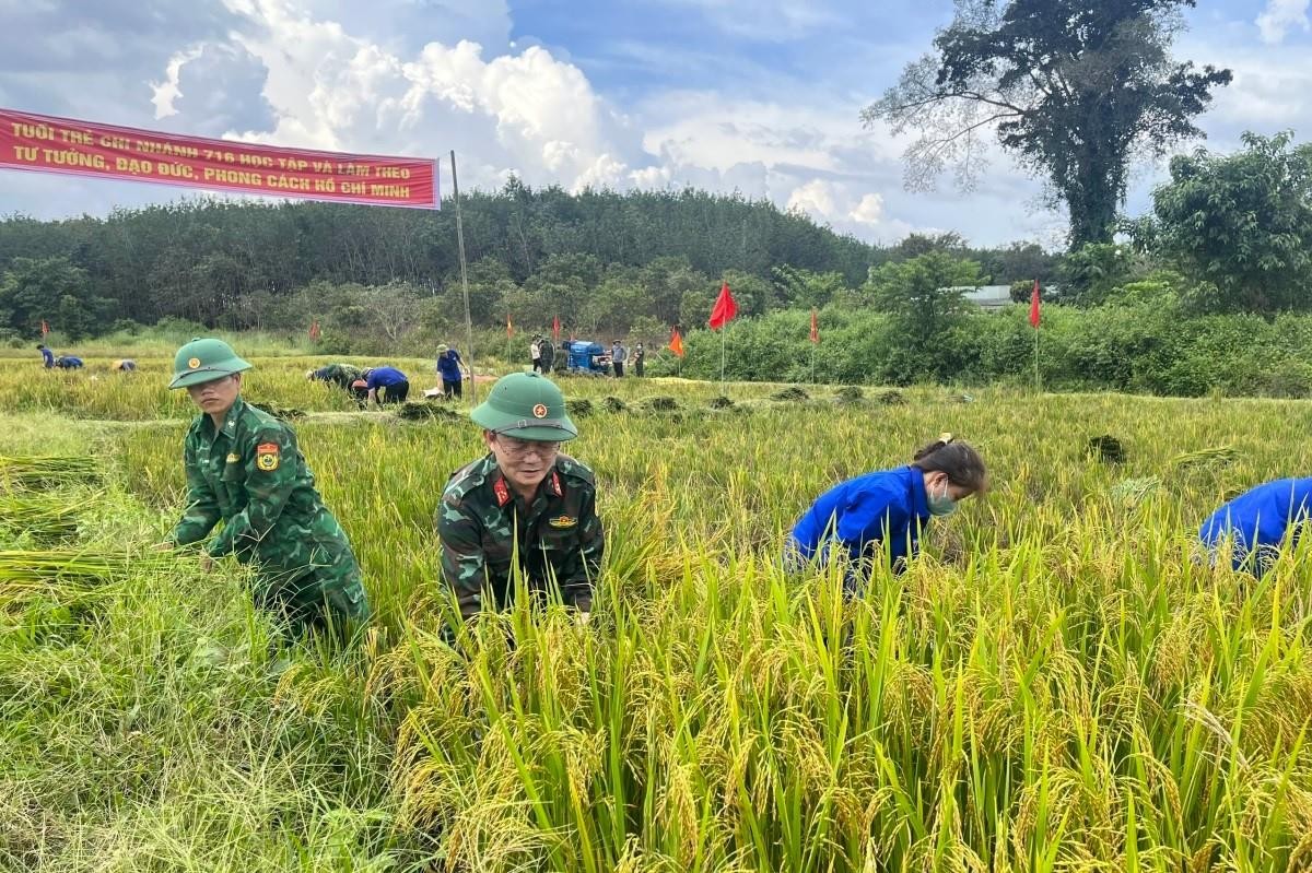 Kon Tum: Xã biên giới Ia Đal lãnh đạo phát triển kinh tế, tạo 'đòn bẩy' xây dựng nông thôn mới