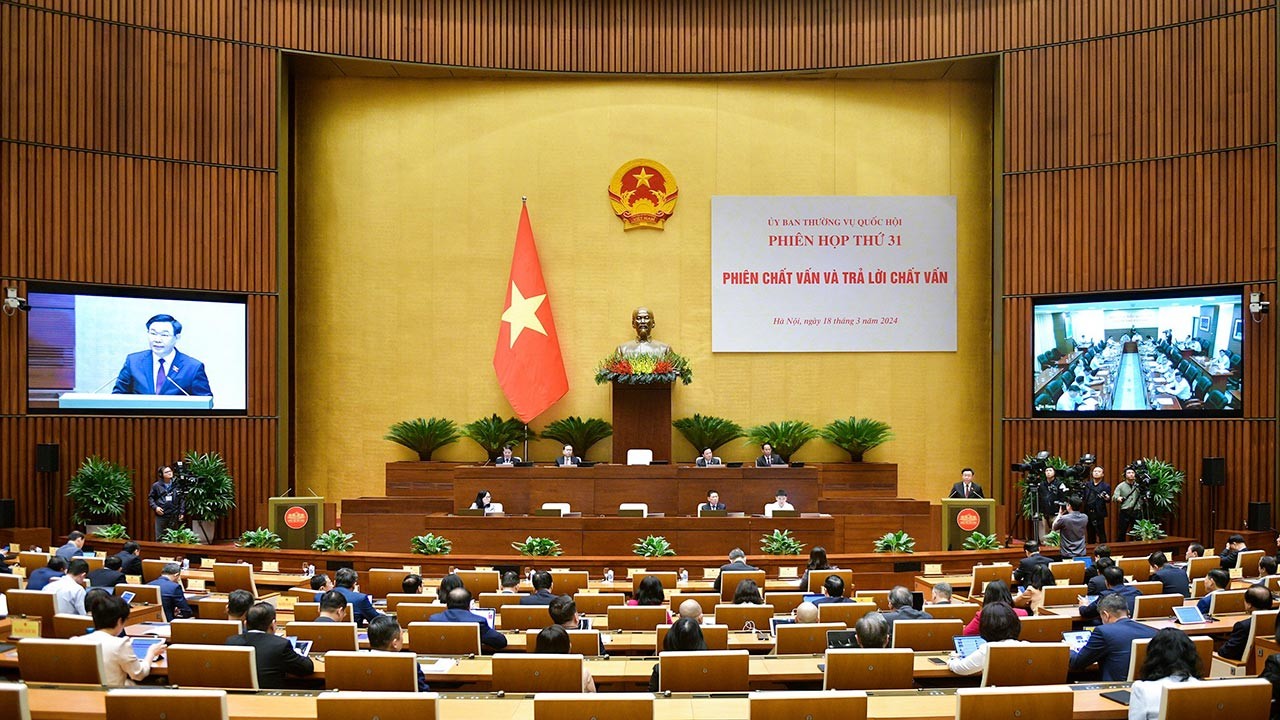 FM Bui Thanh Son field questions on foreign affairs by NA Standing Committee