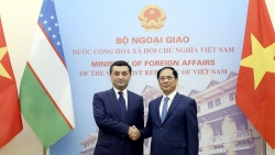 Bộ trưởng Ngoại giao Bùi Thanh Sơn hội đàm với Bộ trưởng Ngoại giao Uzbekistan Bakhtiyor Saidov