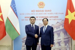 Bộ trưởng Ngoại giao Bùi Thanh Sơn hội đàm với Bộ trưởng Ngoại giao Uzbekistan Bakhtiyor Saidov