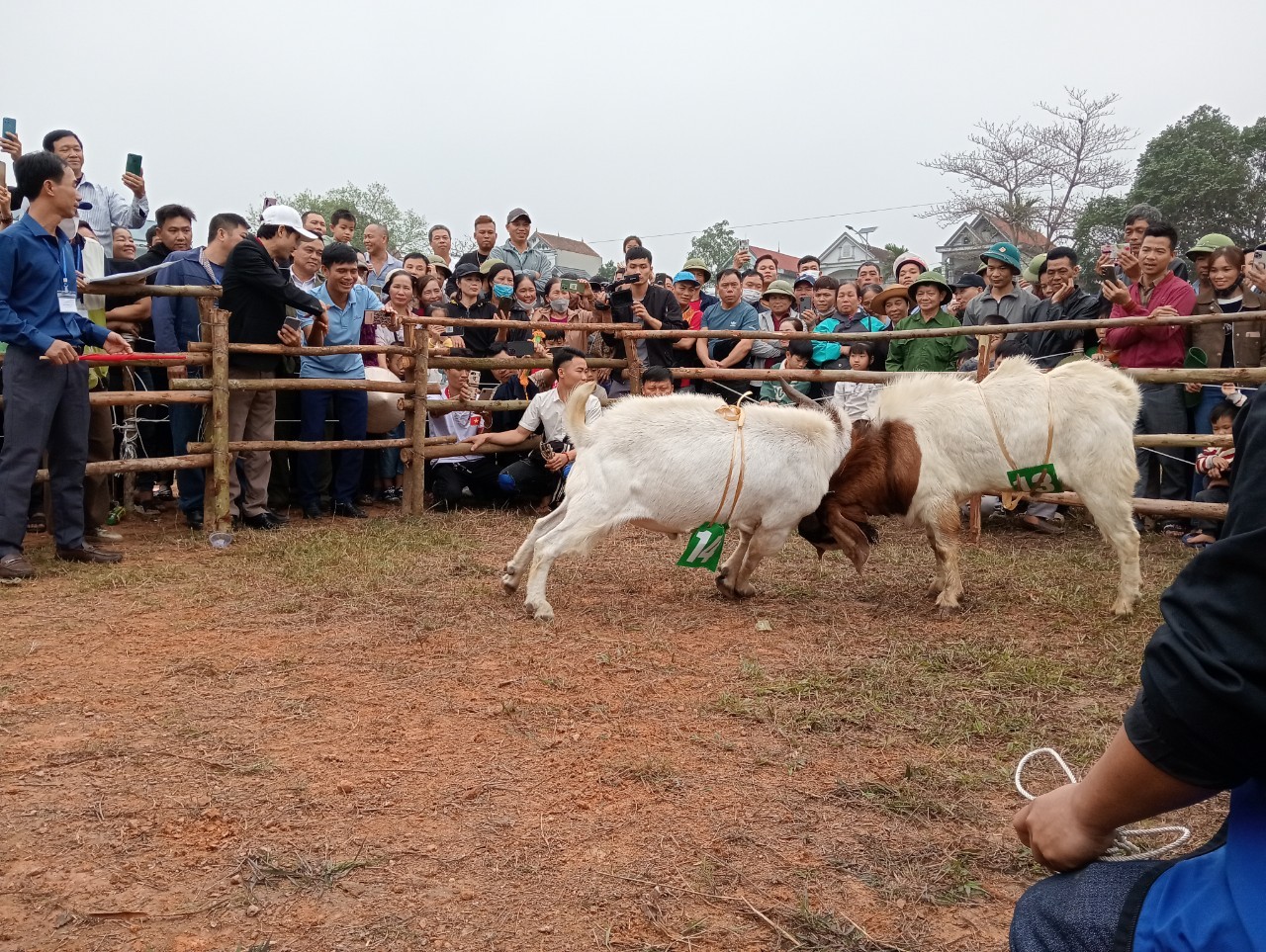 Goat Festival - A Unique Cultural Feature of Spring by the GNI in Tuyen Quang Province