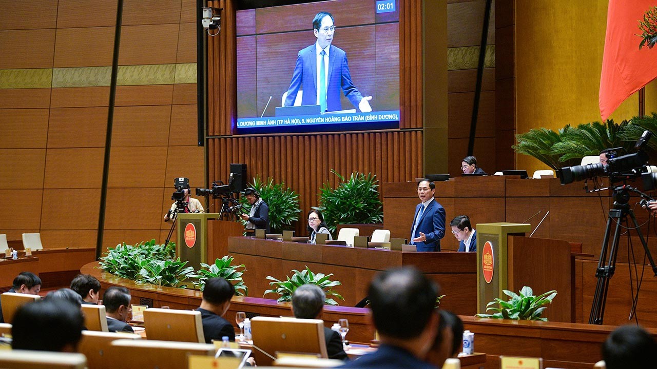 FM Bui Thanh Son field questions on foreign affairs by NA Standing Committee