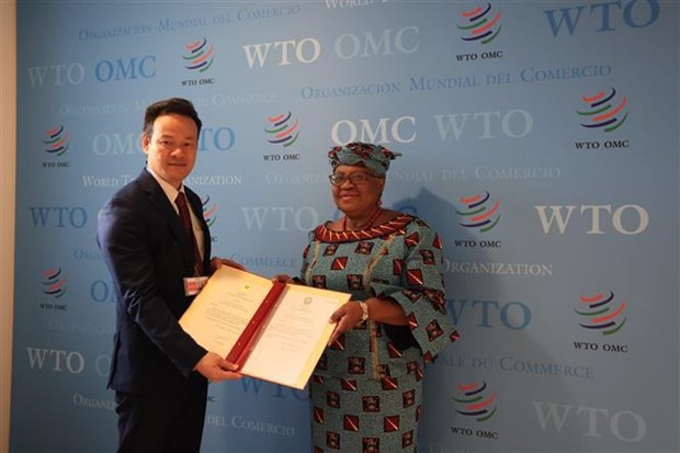 WTO acknowledges Vietnam’s contributions to multilateral trade system: Ambassador