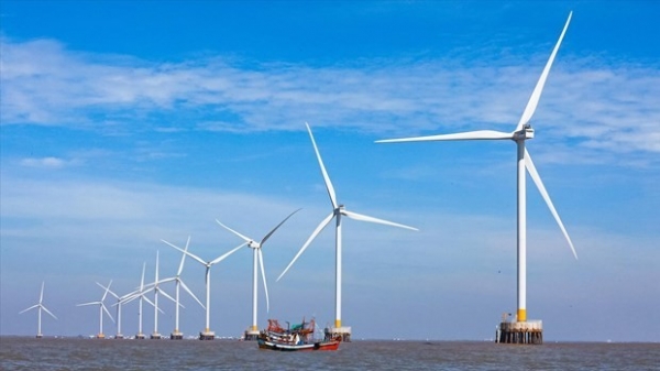 PTSC shows strong engagement in offshore wind power projects: General Director