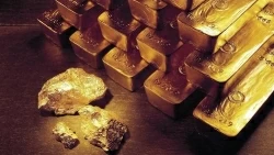 Giá vàng hôm nay 25/7/2024: Giá vàng thế giới 'bay qua vùng nguy hiểm', hoạt động như tài sản rủi ro; kim loại quý trong nước khan hiếm?