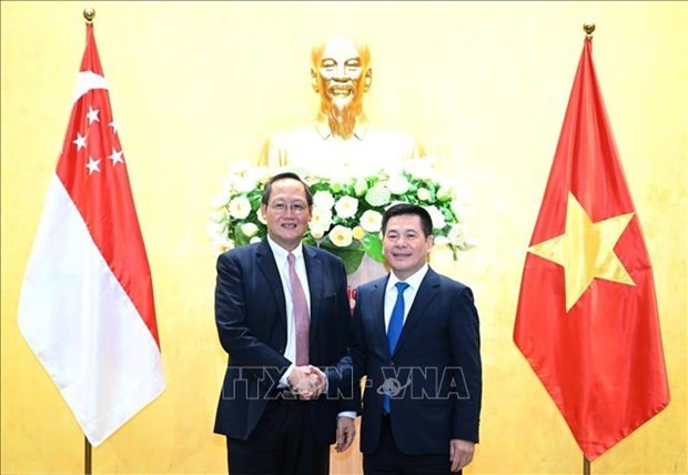 Vietnam, Singapore deepen economic, energy cooperation