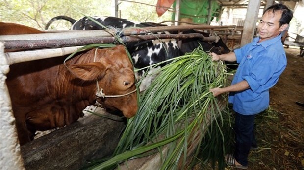 Vietnam has over 1.58 million poor, near-poor households in 2023: Ministry