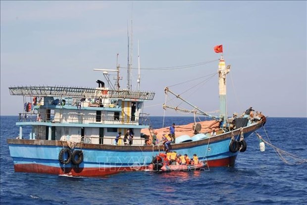 Ninh Thuan, Ca Mau work hard to combat IUU fishing