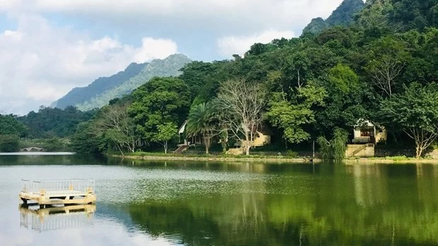 Cuc Phuong National Park strives to promote ecotourism: Conference