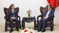 Phó Thủ tướng Trần Lưu Quang tiếp Phó Chủ tịch JICA Yamada Junichi