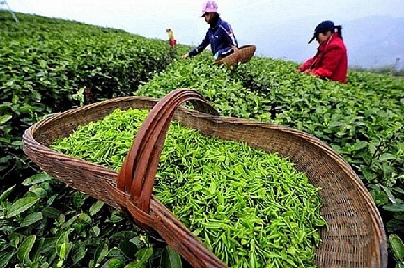 Một loại nông sản của Việt Nam tiếp tục chinh phục thị trường Hoa Kỳ, riêng tháng 1/2024 tăng hơn 150% lượng xuất khẩu