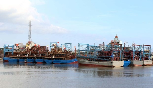 Nam Dinh province resolved to fight IUU fishing