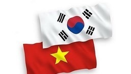 Vietnamese Association in RoK opens Vietnamese language class