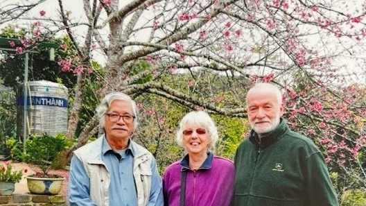 Hoa anh đào Nhật Bản và cơ duyên về với mảnh đất Điện Biên