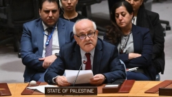 Palestine: Lên kế hoạch hành động ở LHQ nhằm gửi thông điệp tới Israel, Mỹ hứa hẹn nỗ lực