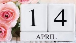Ngày 14/4/2024 là ngày gì? ngày 14/4 là Valentine gì?