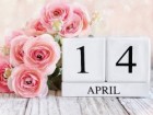 Ngày 14/4/2024 là ngày gì? ngày 14/4 là Valentine gì?
