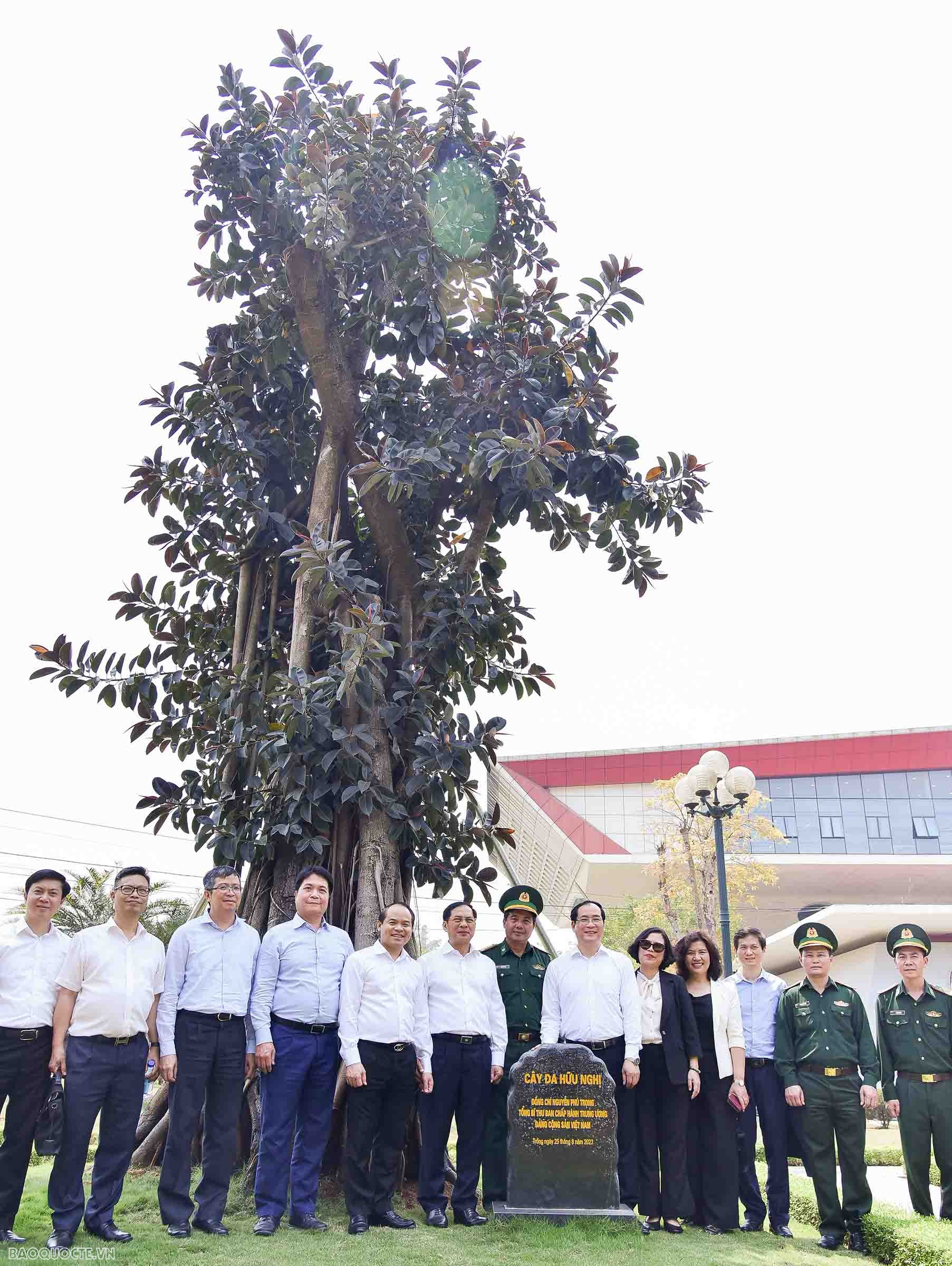 Chiều ngày 3/4, tại Cửa khẩu quốc tế Hữu Nghị, Bộ trưởng Ngoại giao Bùi Thanh Sơn đã thăm “cây Hữu nghị” do Tổng Bí thư Nguyễn Phú Trọng trồng vào tháng 8/2023.