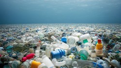 Ước tính có khoảng 11 triệu tấn rác thải nhựa đang ở dưới đáy biển
