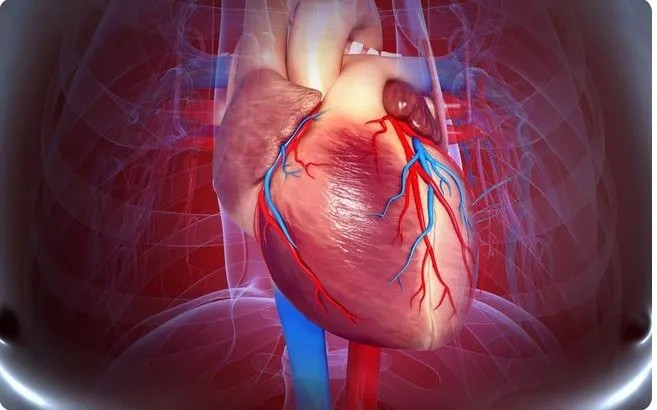 Cần kiểm soát huyết áp thường xuyên để tránh nhồi máu cơ tim. (Nguồn: SKĐS)